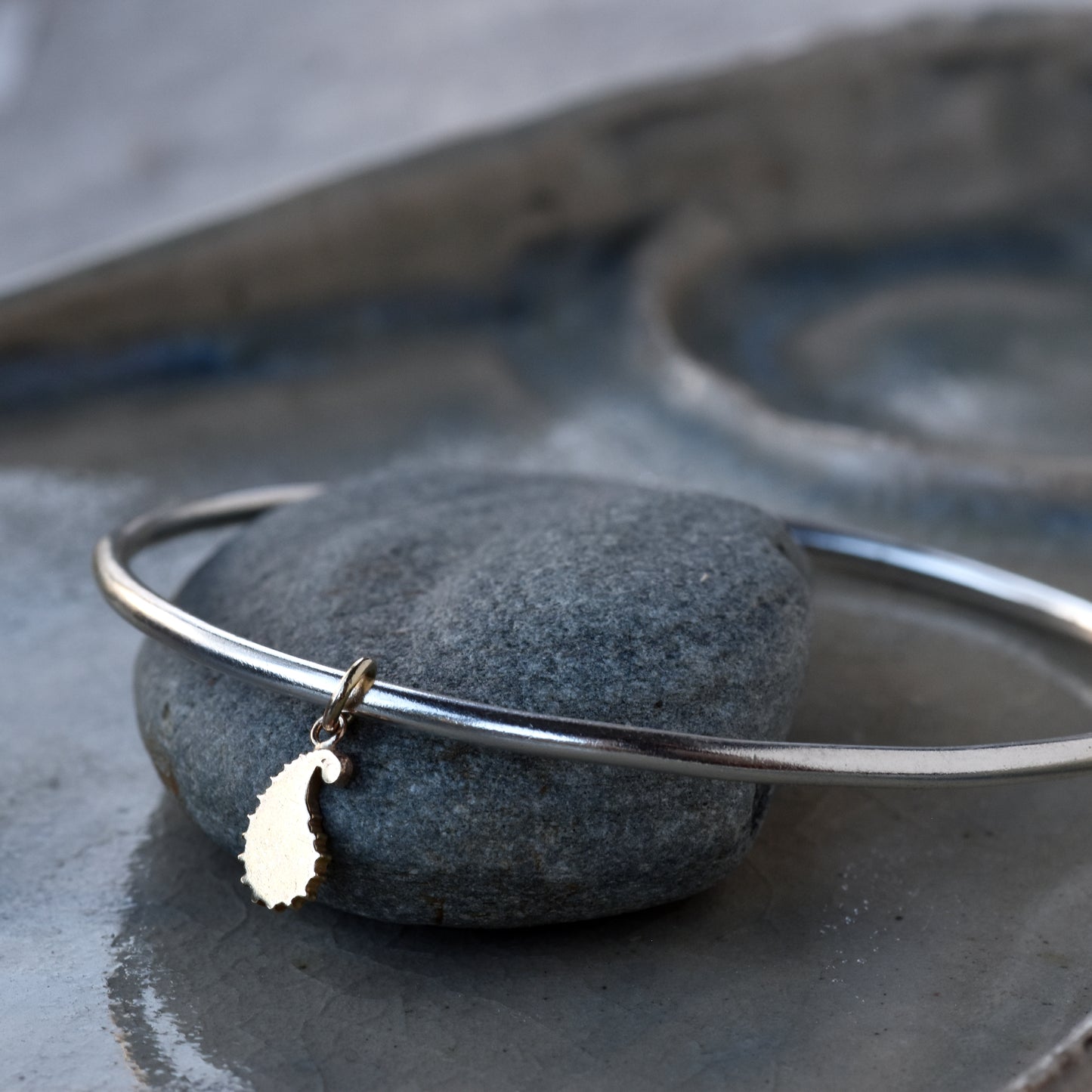 Gold Paisley Charm/Silver Bangle