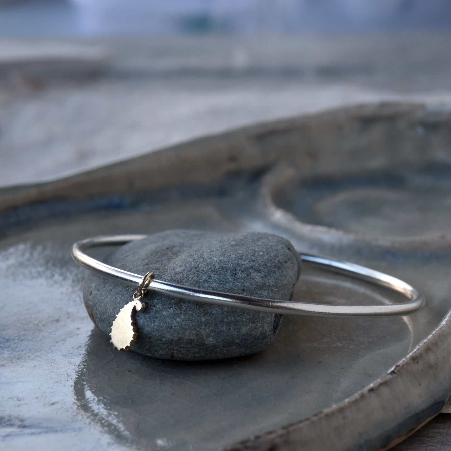 Gold Paisley Charm/Silver Bangle